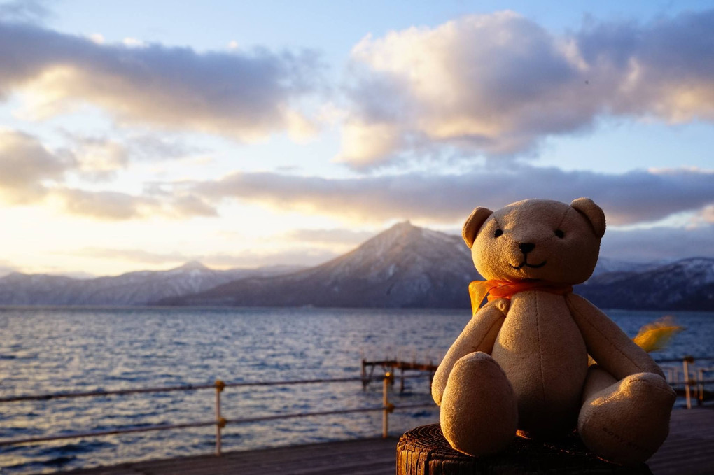 The Bear in Hokkaido