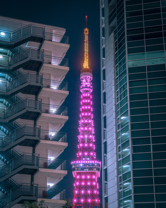 BLACK BORN PINK TOKYO TOWER