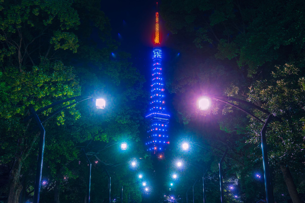 東京タワー　梅雨明け特別ライトアップ