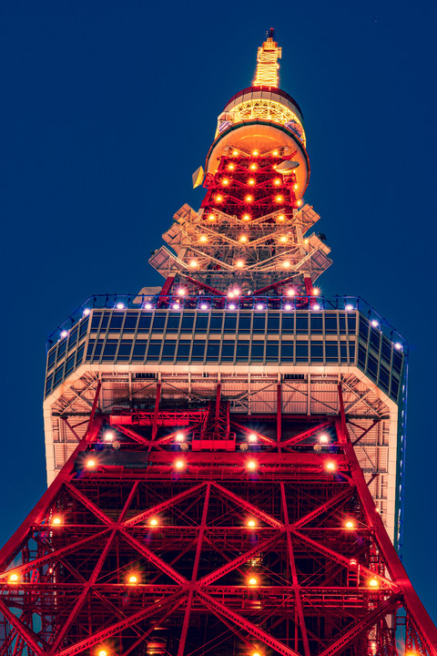 Night view of Tokyo Tower
