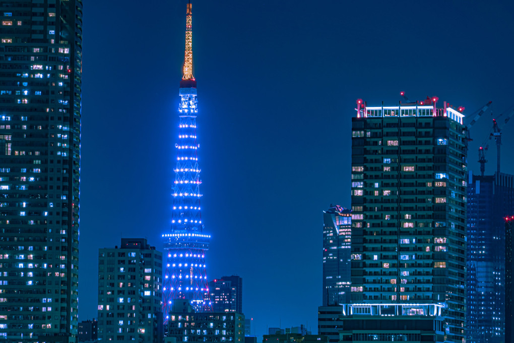Night view of Tokyo Tower