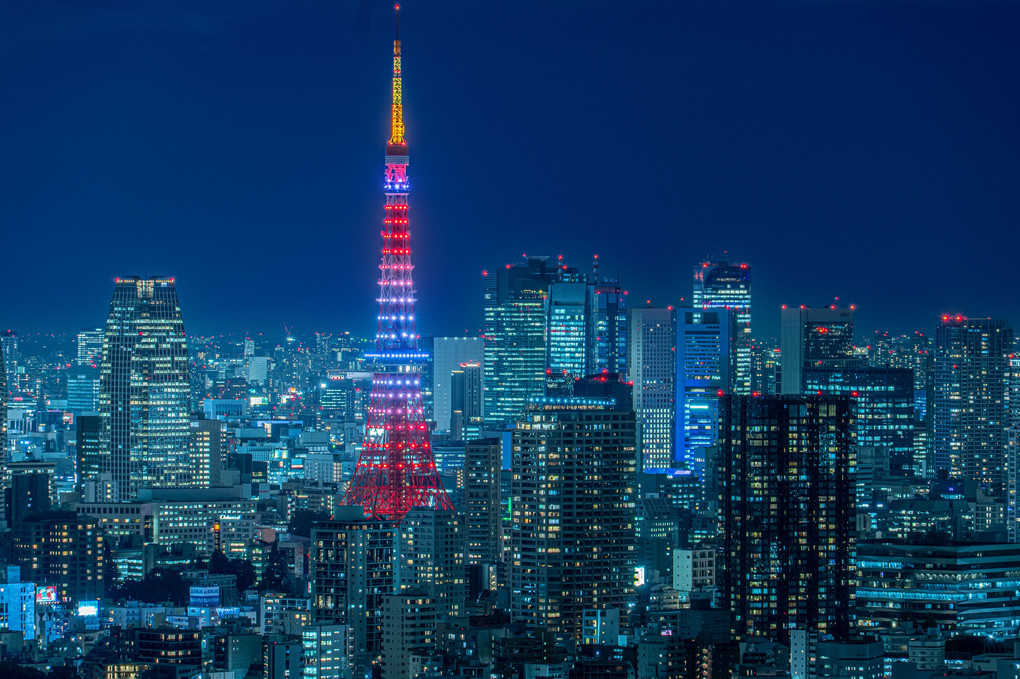 Night view of Tokyo Tower