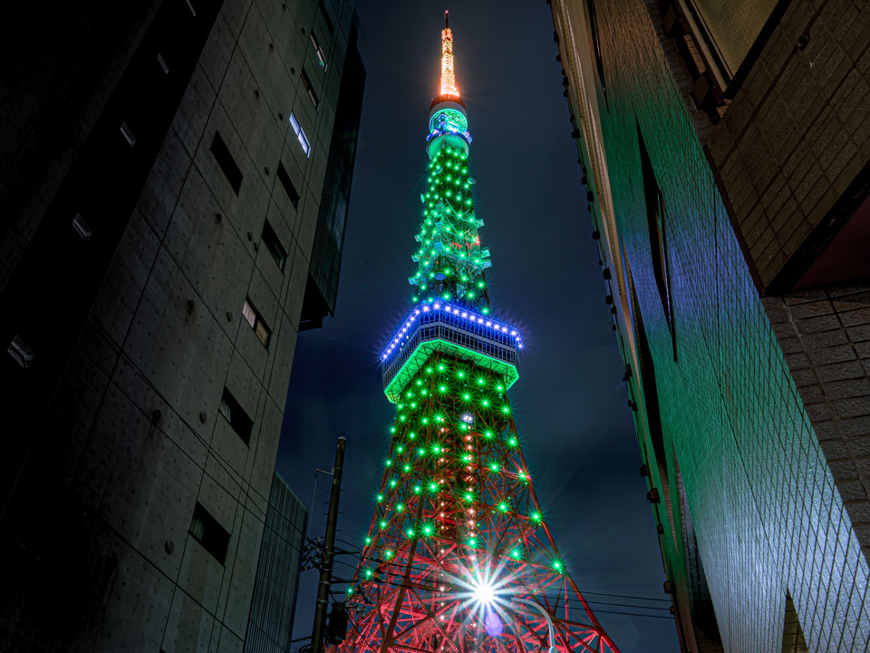 Green Ribbon day's Tokyo Tower