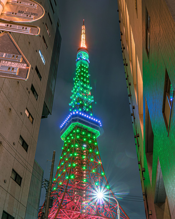 Green Ribbon day's Tokyo Tower