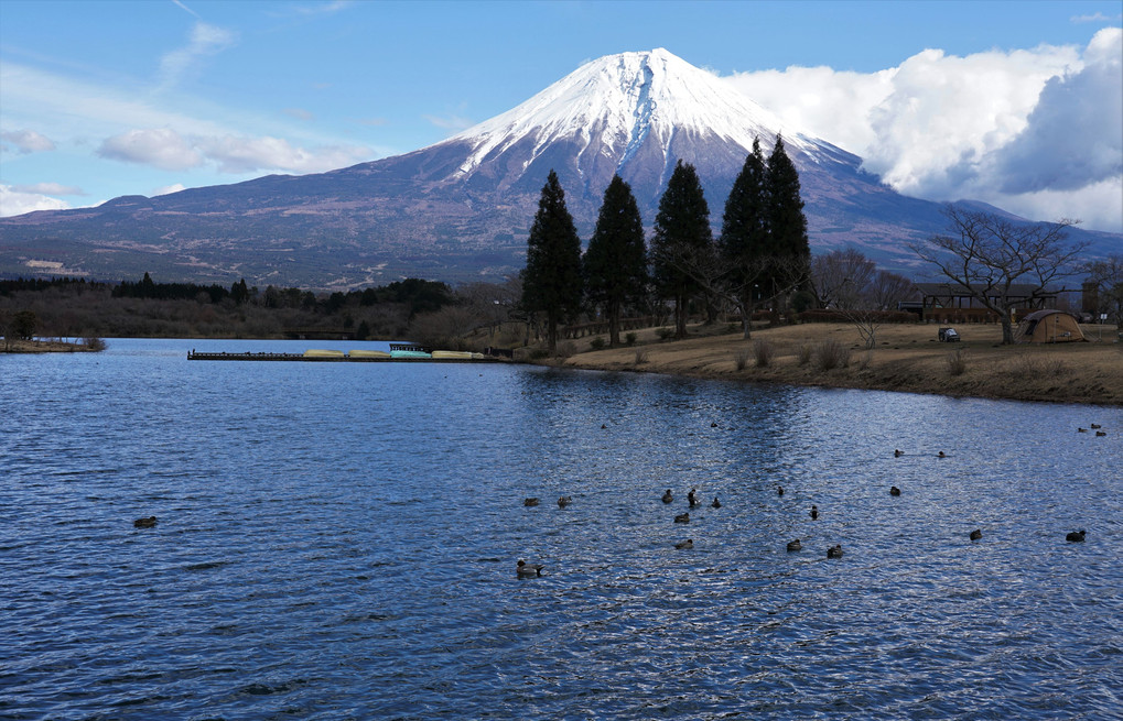 田貫湖キャンプ場の富士