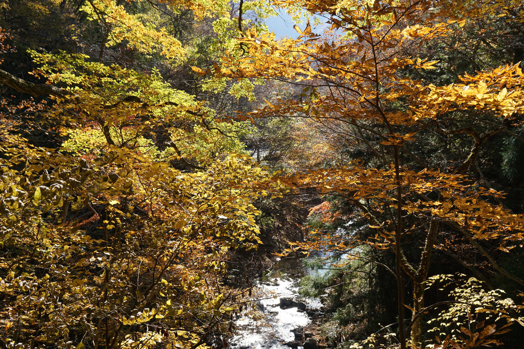 鹿教湯温泉付近の旅