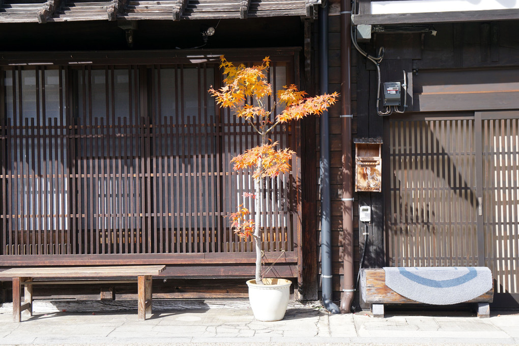 鹿教湯温泉付近の旅