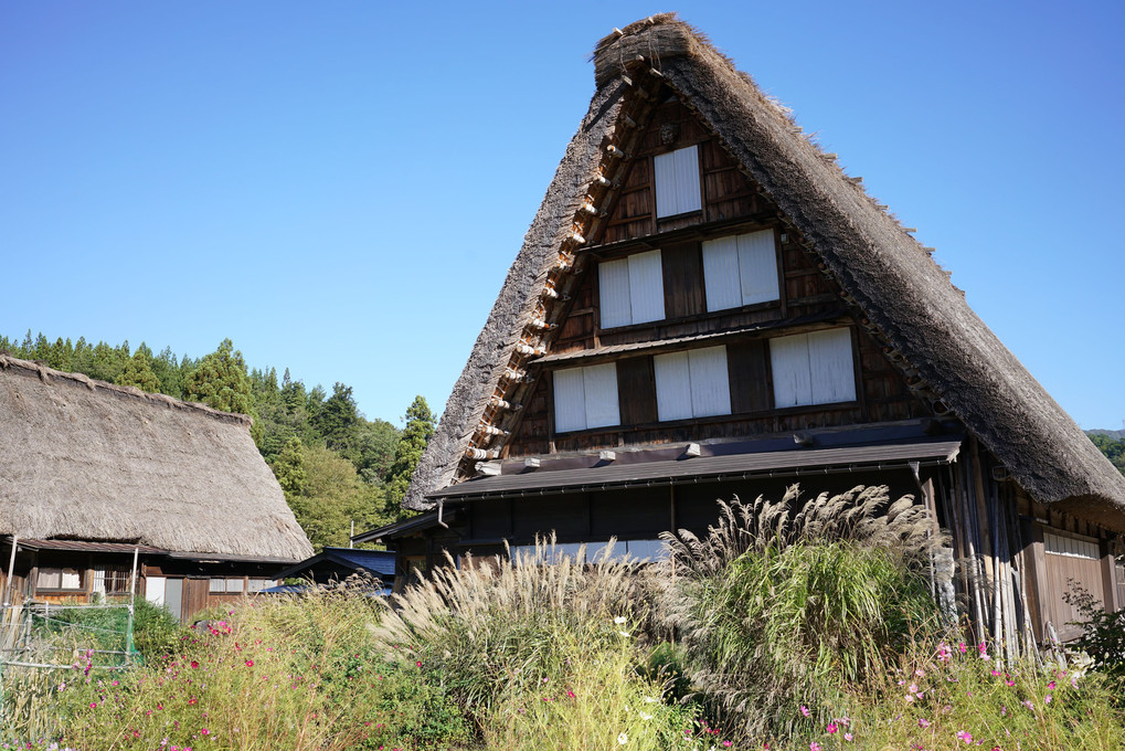 秋の白川郷Ⅱ