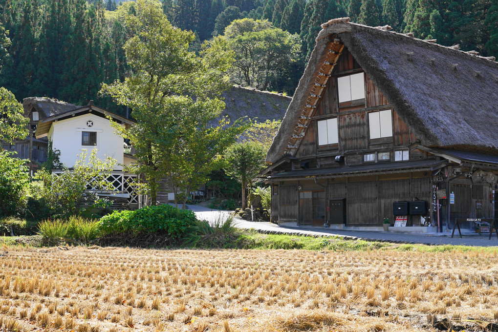 秋の白川郷Ⅱ