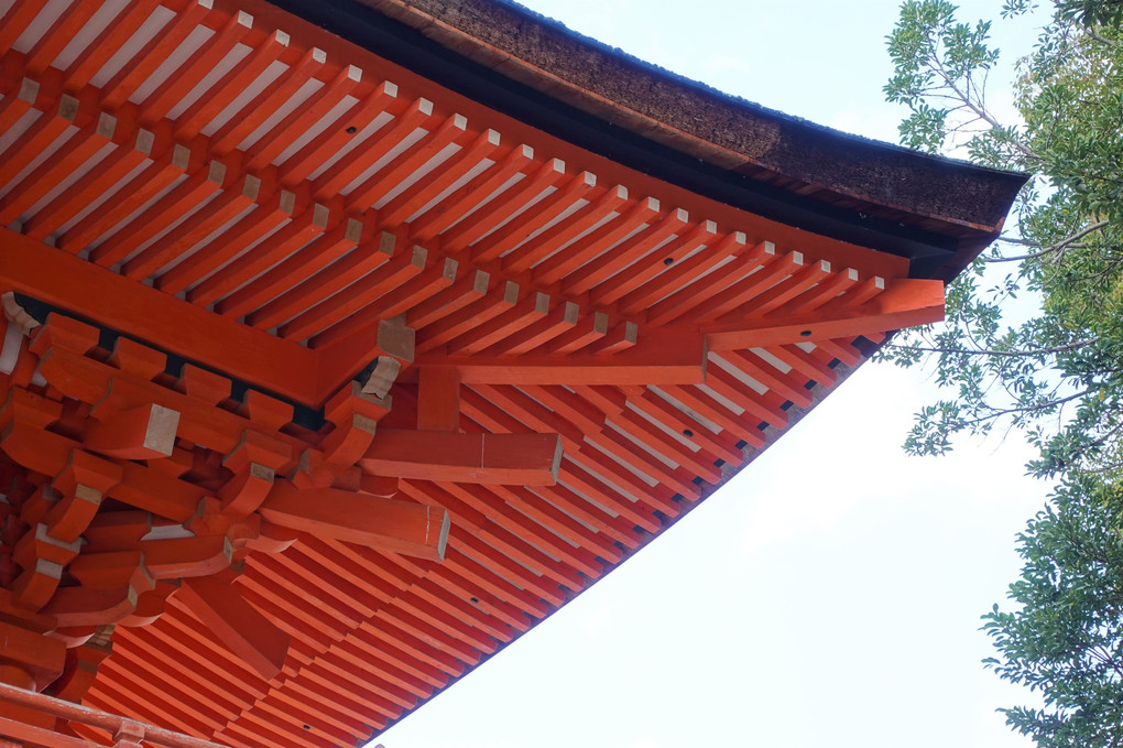 下鴨神社