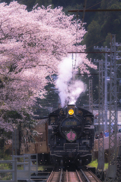 大井川鉄道