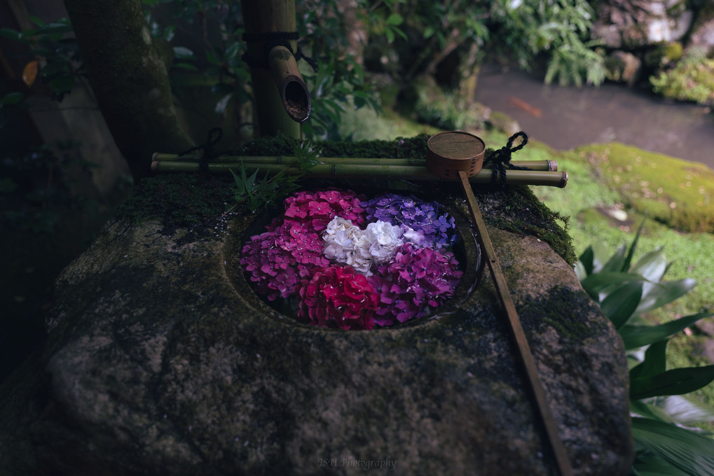 柳谷観音 楊谷寺の花手水(2)