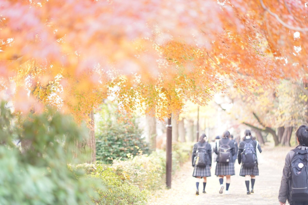 紅く染まる通学路