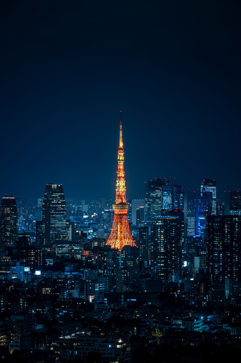 Tokyo midnight     #壁紙2023#