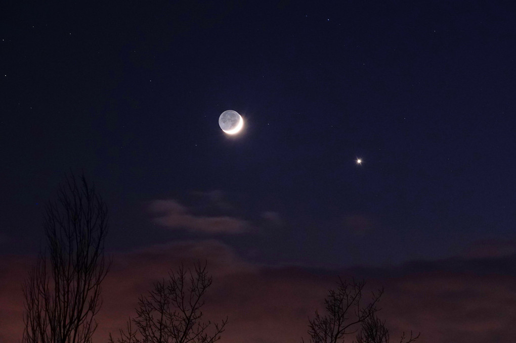 西空低く　月と金星
