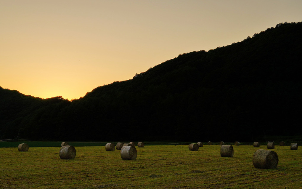 夕暮れの牧草ロール