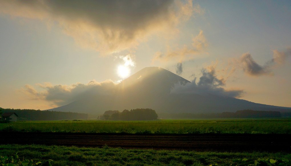 夏の羊蹄山麓