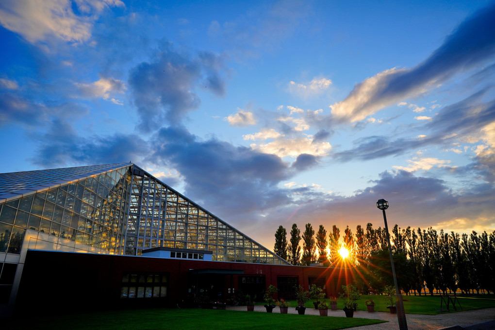 温室植物園　ガラスと夕日