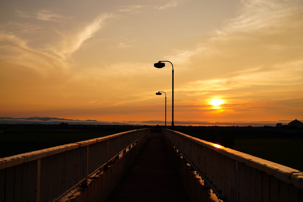 晩夏の夕景　錆た橋