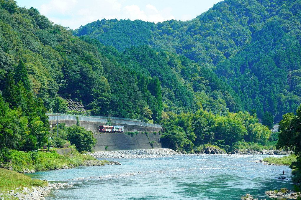 長良川鉄道の季節
