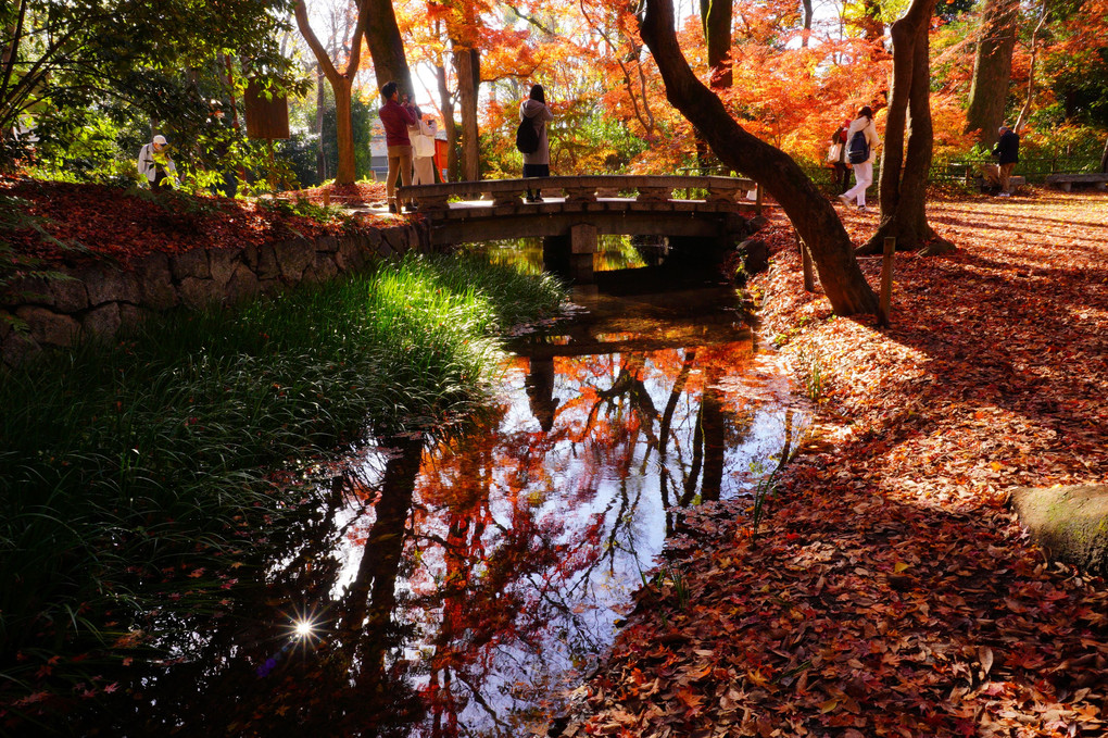 糺の森　京都のラスト紅葉