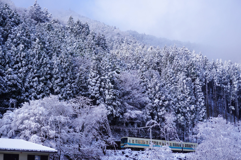 一年間お世話になりました　　（雪の叡山電鉄）