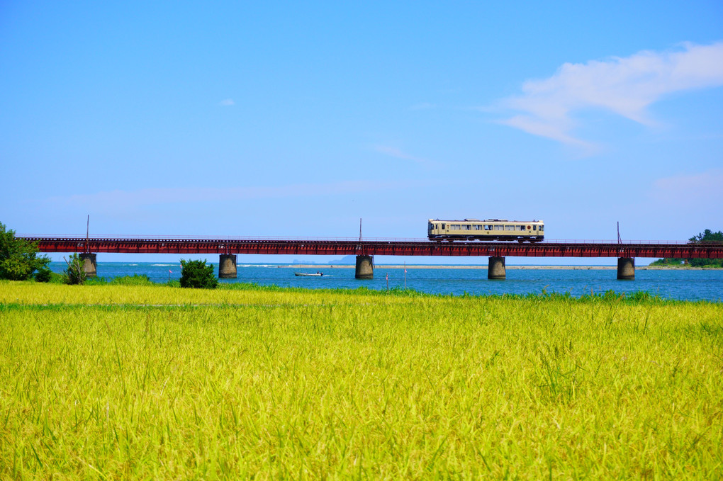 由良川　夏の想い出