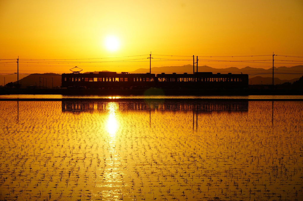 夕日に染まる　近江鉄道