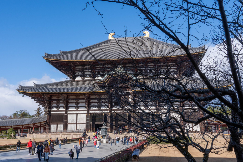 東大寺大仏殿