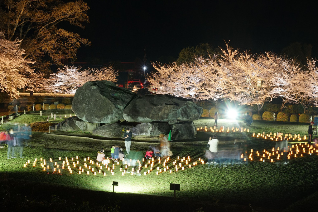 明日香村石舞台古墳夜桜ライトアップand光のメッセージ