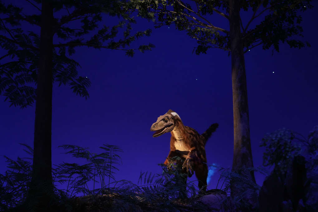 恐竜たちの夜