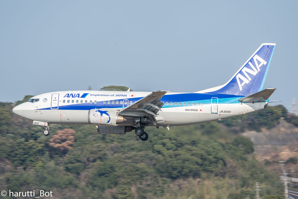 ANA 737スーパードルフィン