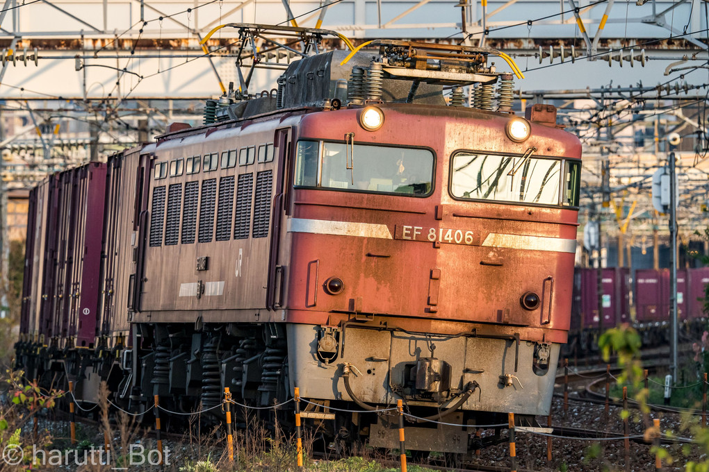 EF81-406