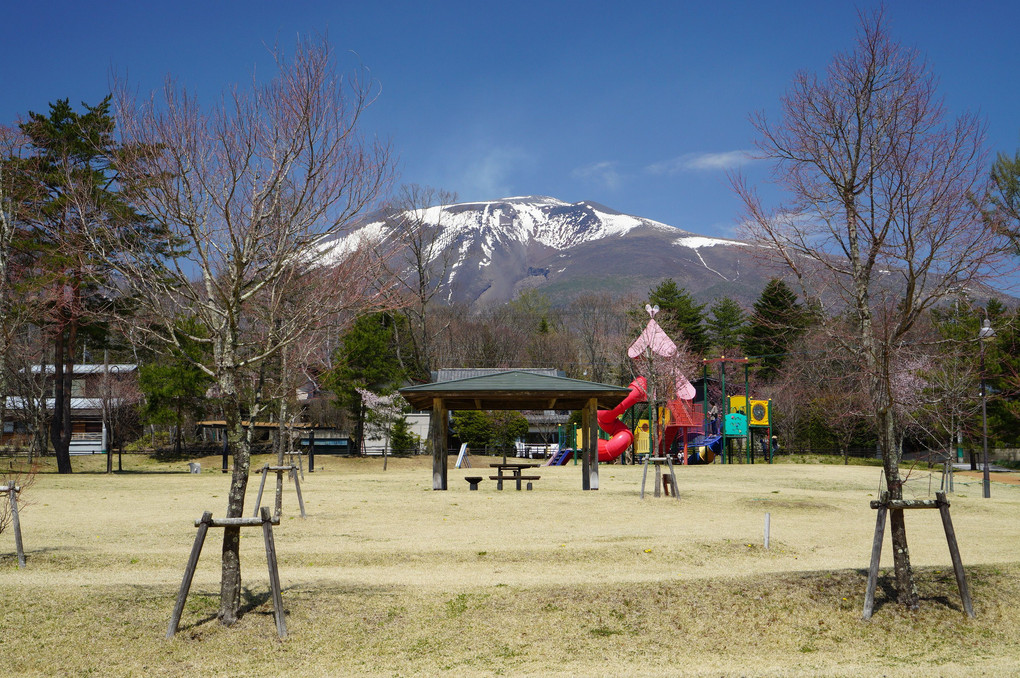 静かなゴールデンウィーク