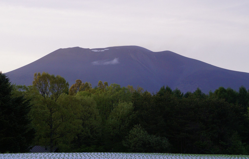 穏やかな山