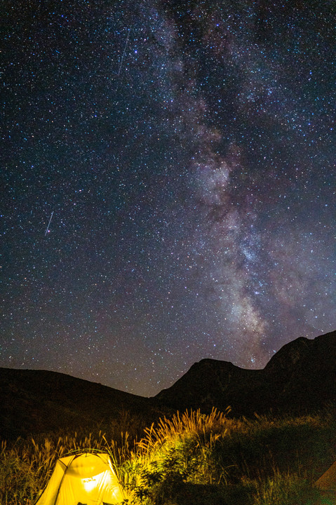 ススキと満天の星空