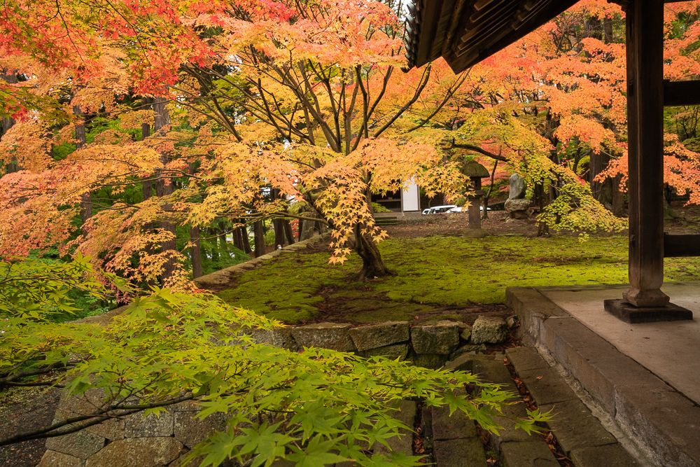 古寺の秋