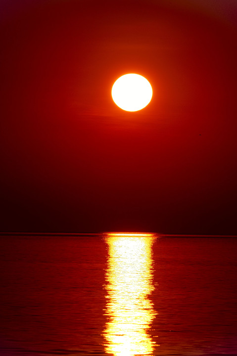 太陽と燃ゆる海