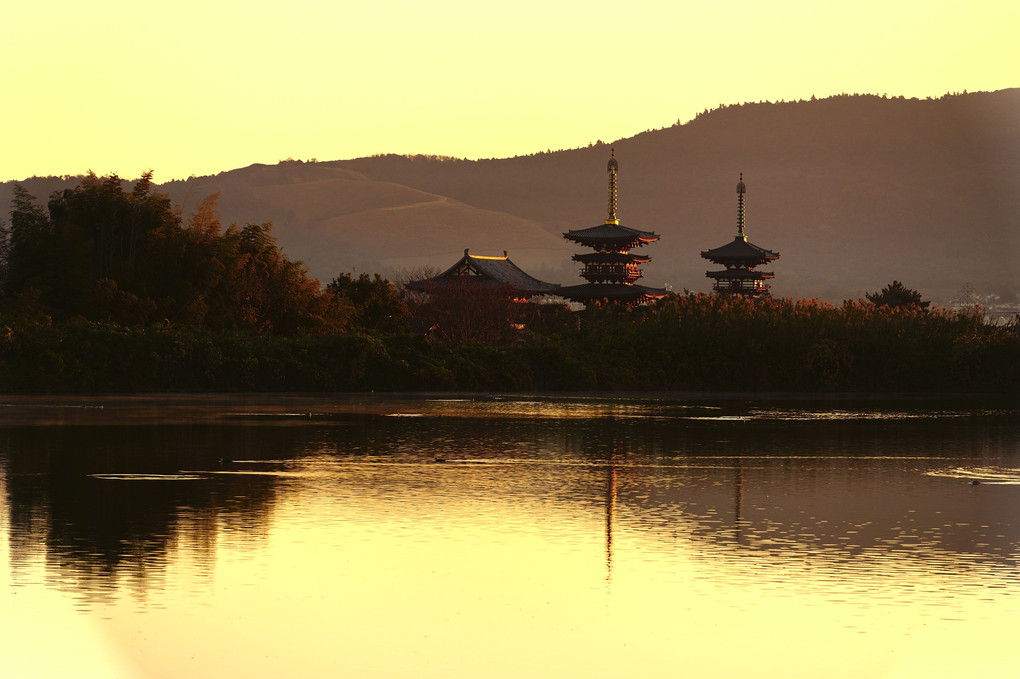 黄金に輝く朝の薬師寺（西ノ京）
