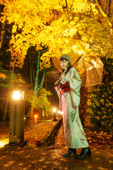 雨の紅葉狩り