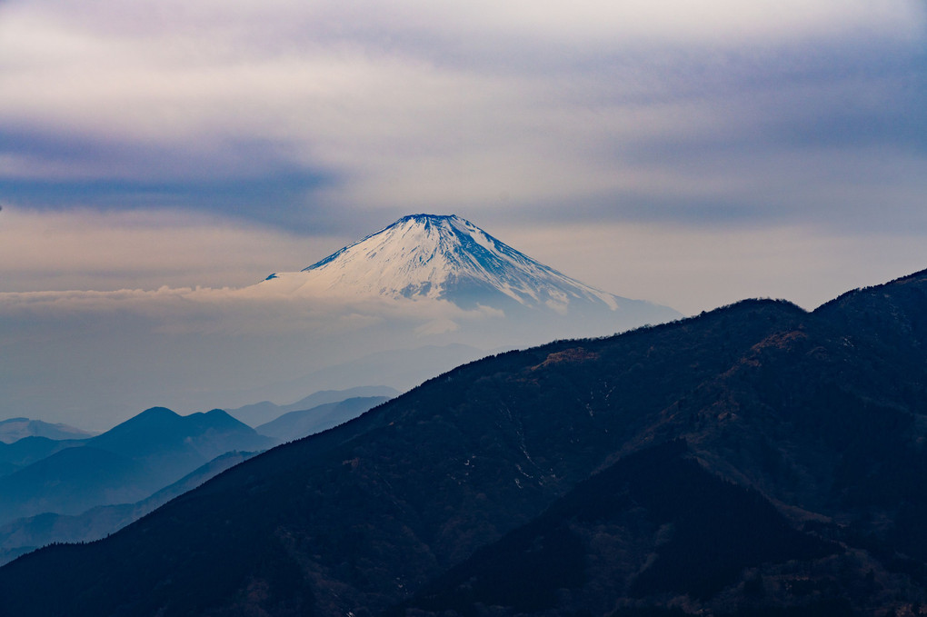 大山 富士見台からの富士山