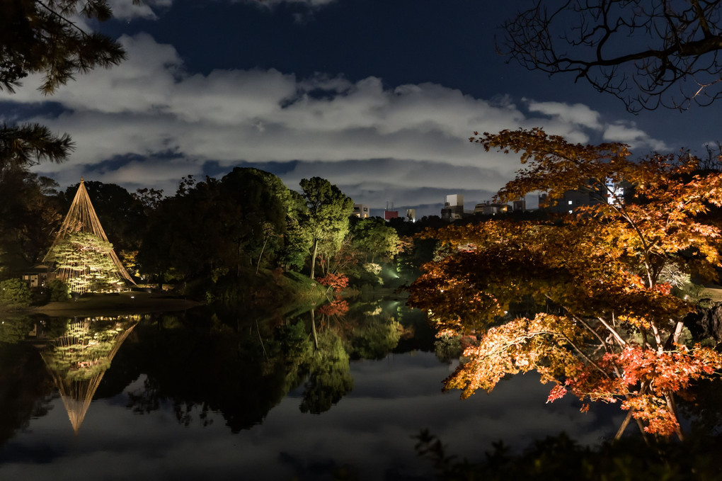 六義園の紅葉