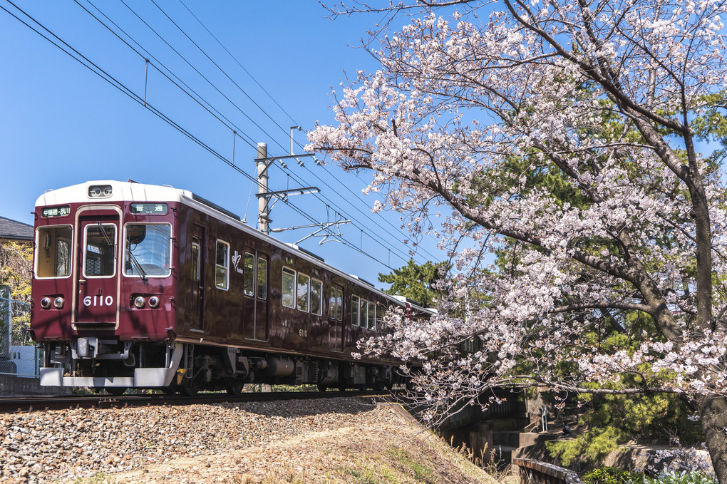 SAKURA阪急電車