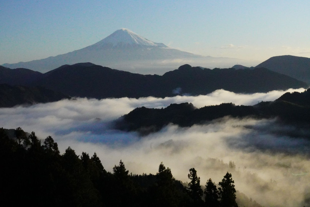 富士山の雲海