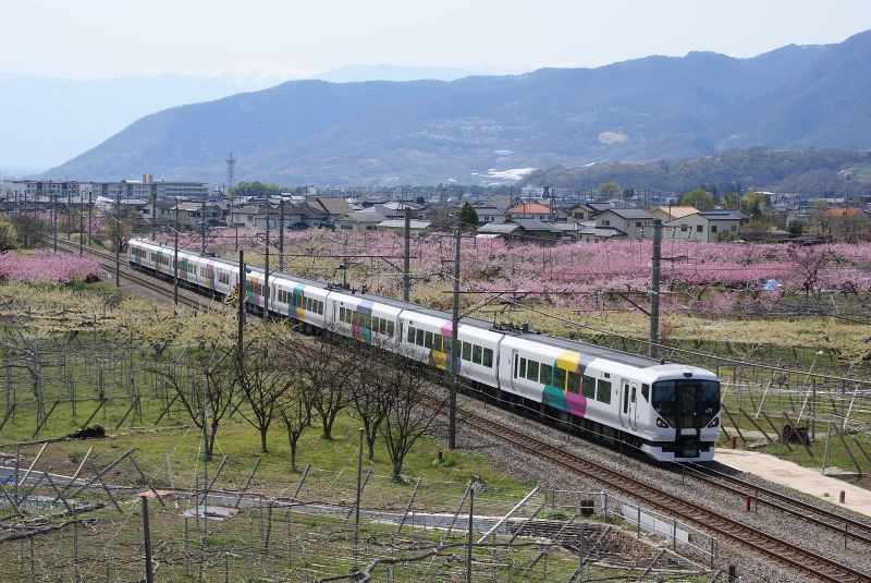 E257系特急かいじと東山梨の桃の花