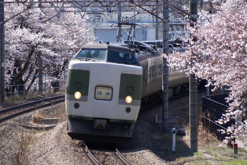 189系あさま色と勝沼の甚六桜