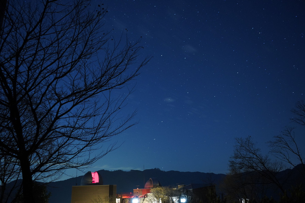 初めての星空坊主