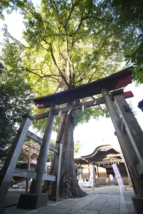 二宮神社