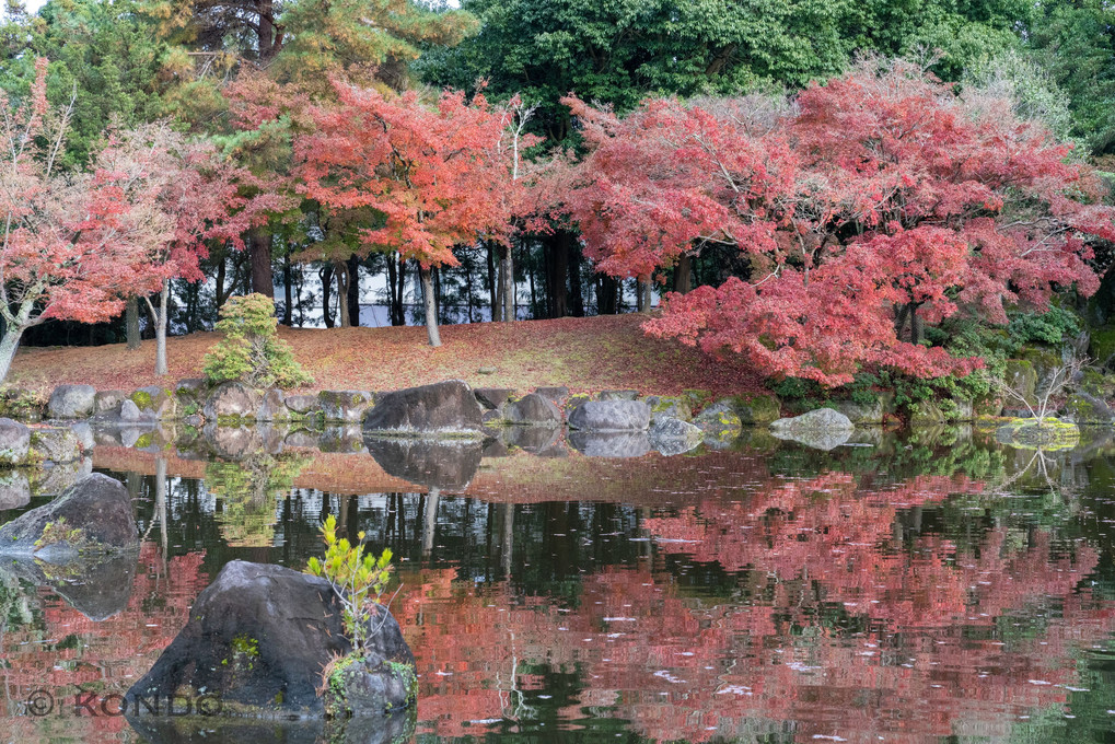 秋を映す池