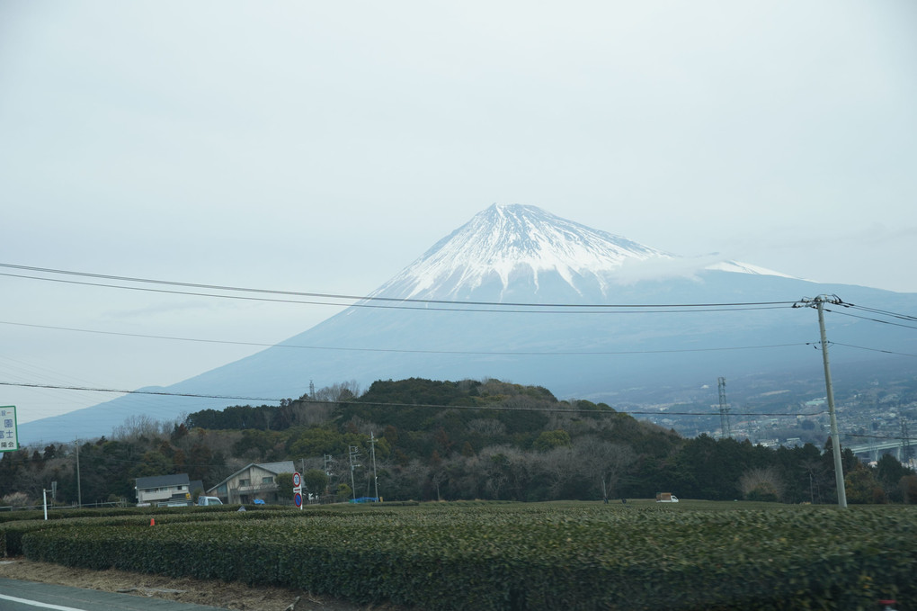 富士山